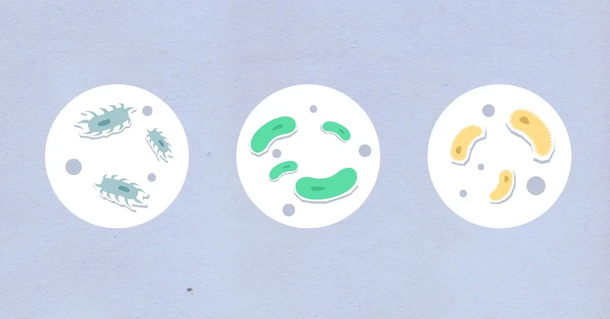 Peut-on Booster son Sommeil avec des Superaliments ?
