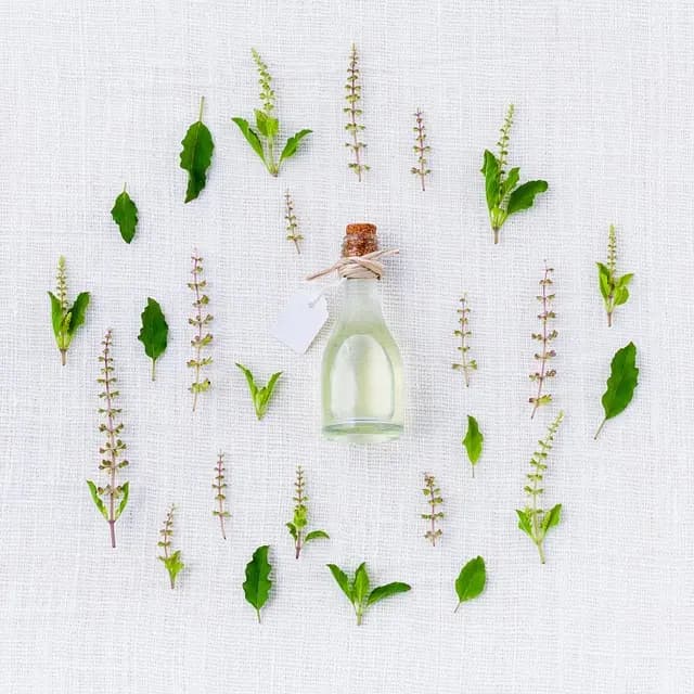 Comment Les Plantes Médicinales Peuvent Aider à Combattre l'Insomnie