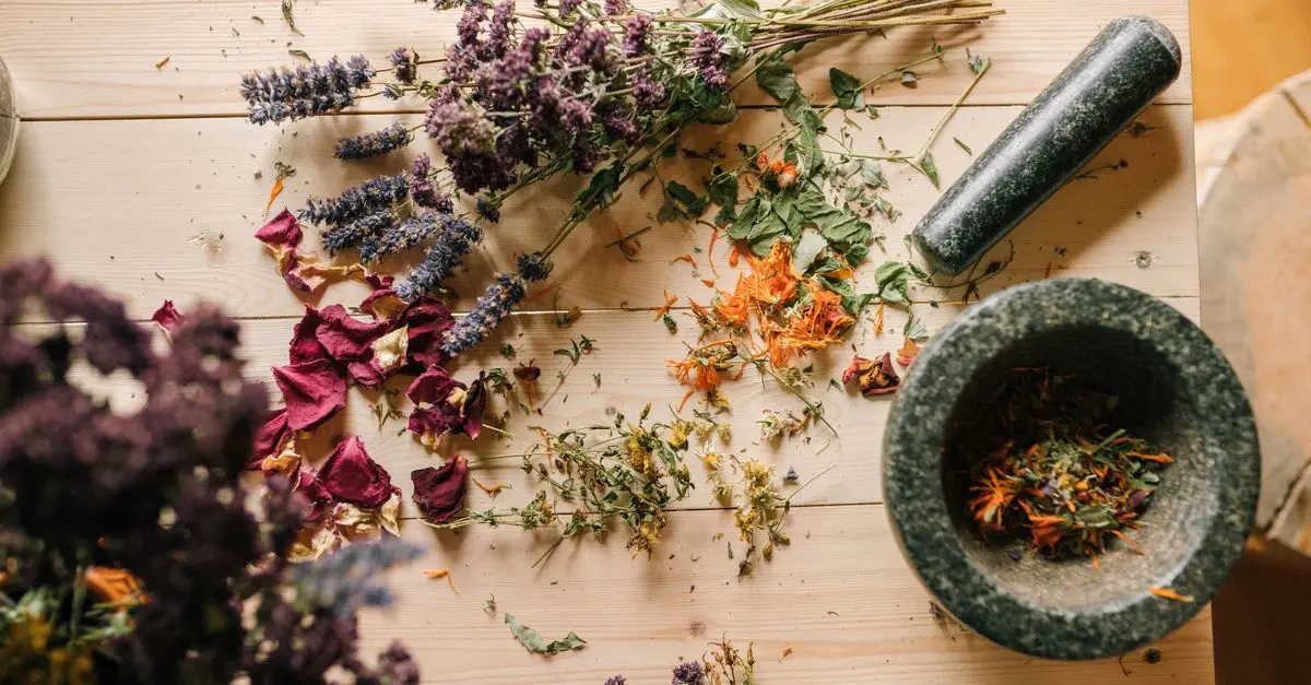 Les 10 Meilleures Plantes Médicinales pour Combattre l'Insomnie