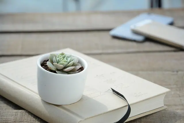 Comment Lutter Contre l'Insomnie avec des Plantes Médicinales