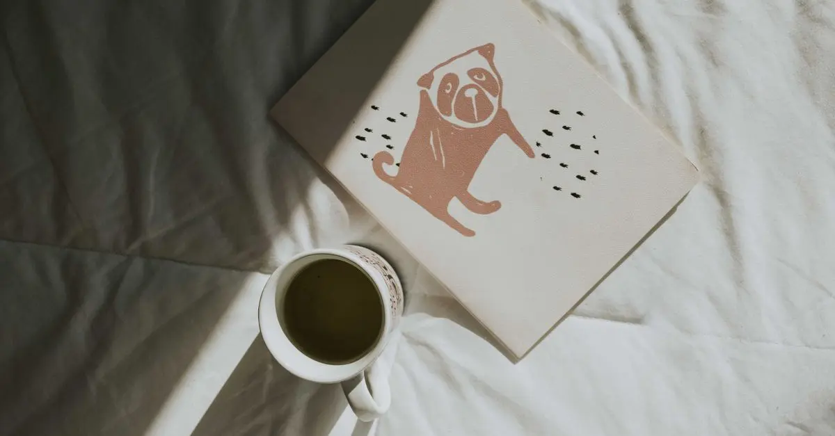 Comment la Caféine Influence-t-elle Votre Sommeil ?