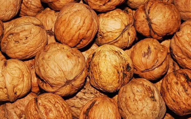 Les 10 Aliments Surprenants qui Favorisent un Sommeil Réparateur